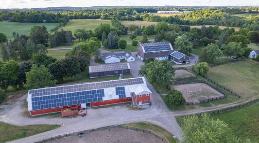 Sustainable farming — how Kinghaven is lessening its environmental footprint