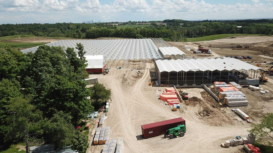 Globe and Mail: Local lettuce: Amid imported food shortages, greenhouse farming takes off in Canada