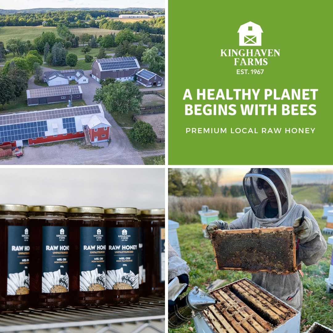 Nature’s Remedy Honey Collection