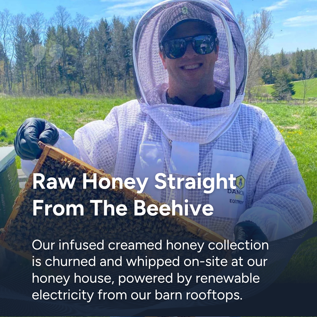 Blueberry Creamed Honey (330 g)
