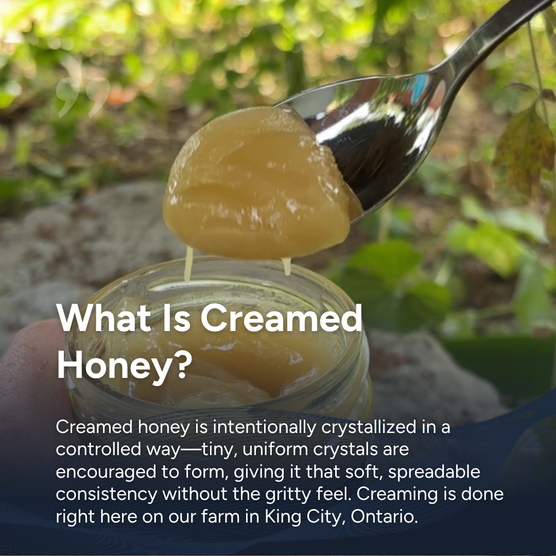 Lemon Meringue Creamed Honey