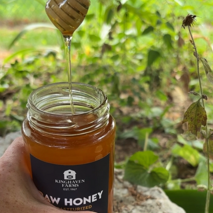Premium Raw Honey (500 g)