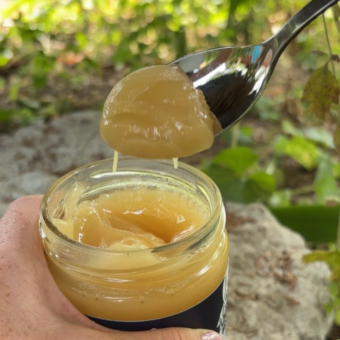 Creamed Honey (330 g)