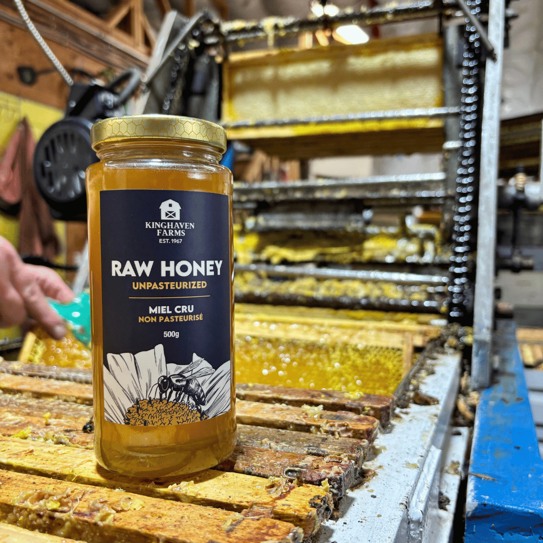 Premium Raw Honey (500g)