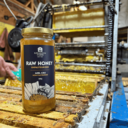 Premium Raw Honey (500g)